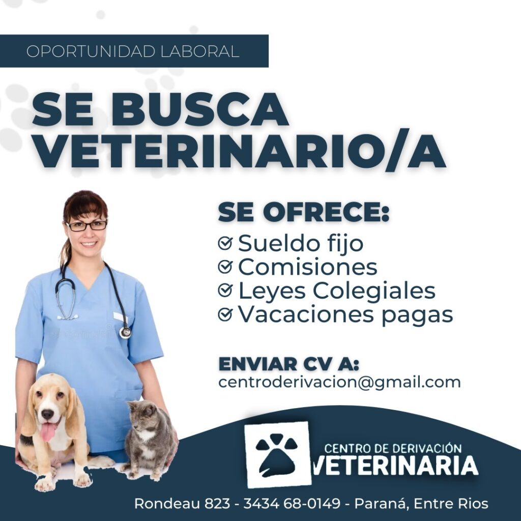 Se busca Veterinario/a