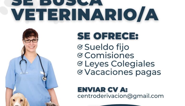Se busca Veterinario/a