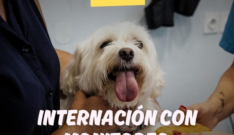 Servicios de Internación con Monitoreo 24 hs