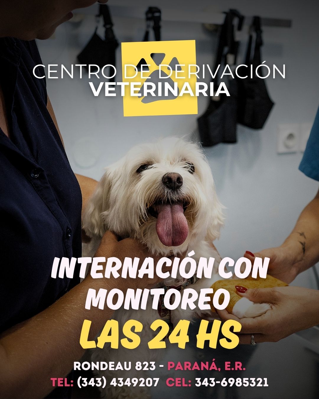Servicios de Internación con Monitoreo 24 hs