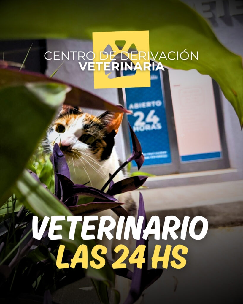 Servicios Veterinarios las 24 hs